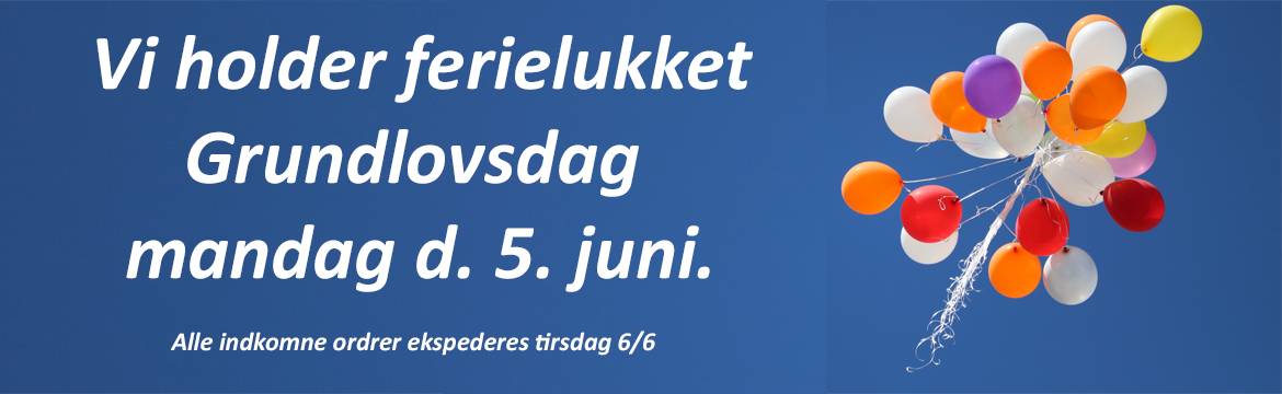 Grundlovsdag