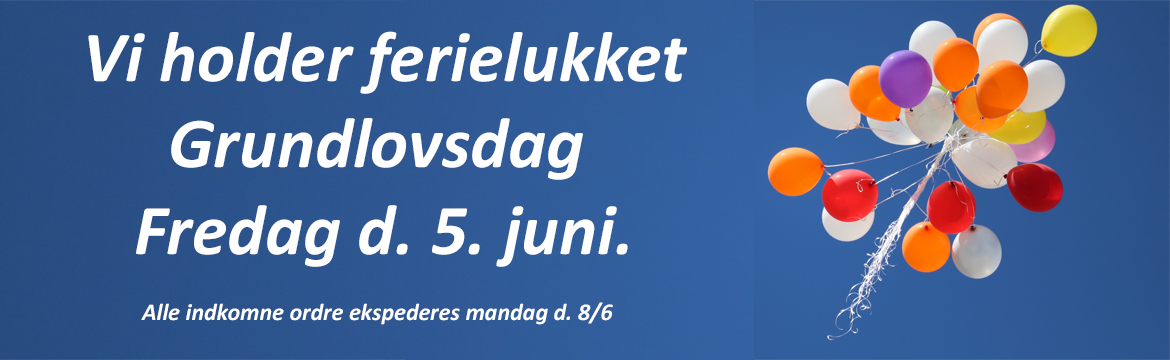 Grundlovsdag