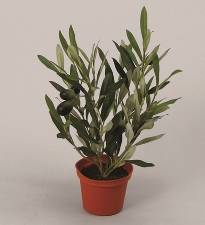 Kunstig plante oliven busk grøn H30cm