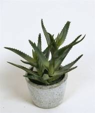 Kunstig plante aloe grøn H22cm