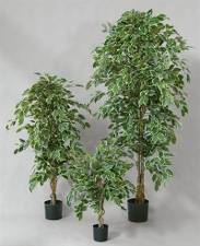 Kunstig plante ficus/birketræ H110cm