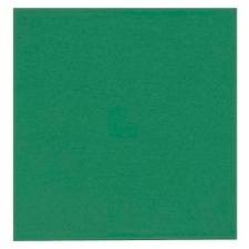 Servietter 24x24 cm grøn 2-lags / 100 stk. 