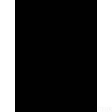 Bølgeplastark PP grøn 1140x740mm 250g/m2 2mm