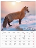 V&aelig;gkalender Verdens dyr 2027 - 27066330