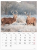 V&aelig;gkalender Verdens dyr 2027 - 27066330