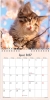 V&aelig;gkalender mini Kattekillinger 2027 - 27066400