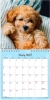 V&aelig;gkalender mini Hundehvalpe 2027 - 27066410