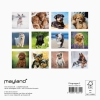V&aelig;gkalender mini Hundehvalpe 2027 - 27066410