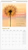 V&aelig;gkalender Dream & Do 2027 - 27066530
