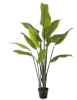 Kunstig plante strelitzia grøn H150cm 