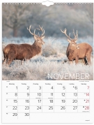 V&aelig;gkalender Verdens dyr 2027 - 27066330
