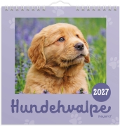 V&aelig;gkalender mini Hundehvalpe 2027 - 27066410