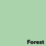 Kopipapir A4 Image Forest Pastel Green 120 g pk/250 ark 69365 