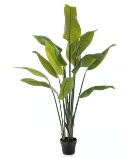 Kunstig plante strelitzia grøn H150cm 